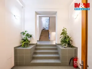 Pronájem kanceláře, Praha - Strašnice, Kolovratská, 19 m2