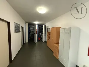 Pronájem výrobních prostor, Lišov, Miletínská, 1000 m2