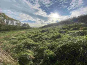 Prodej pole, Svijany, 1263 m2