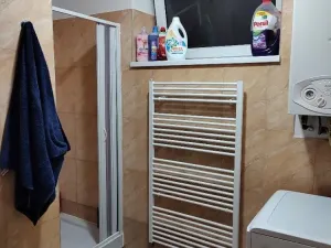 Pronájem bytu 1+kk, Prostějov, Olomoucká, 55 m2