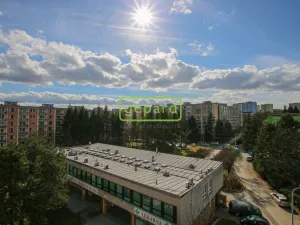 Pronájem bytu 1+1, Brno, Palackého třída, 39 m2