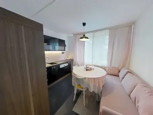 Pronájem bytu 1+1, Třebíč, Obránců míru, 40 m2