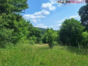 Prodej rodinného domu, Žítková, 80 m2