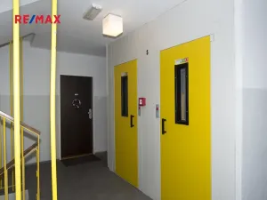 Pronájem bytu 3+1, Praha - Břevnov, Na Petřinách, 63 m2