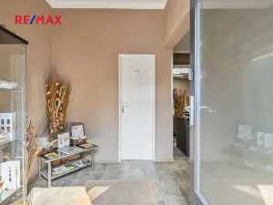 Pronájem komerční nemovitosti, Praha - Nusle, Bohuslava ze Švamberka, 11 m2