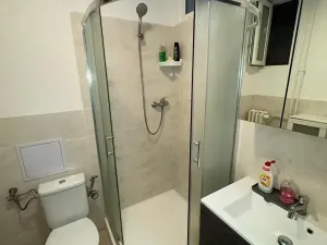 Pronájem bytu 1+kk, Brno, Dřevařská, 40 m2