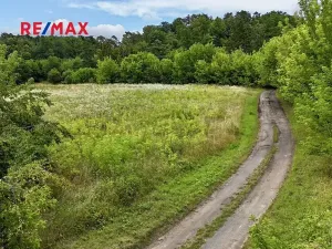 Prodej pozemku pro bydlení, Liběchov, 7548 m2