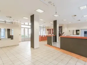 Pronájem kanceláře, Praha - Nové Město, Spálená, 538 m2