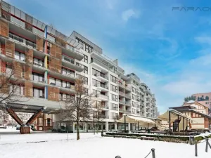 Pronájem bytu 2+kk, Praha - Holešovice, Jankovcova, 67 m2