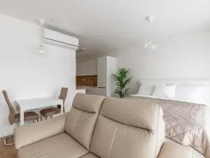 Pronájem bytu 1+kk, Brno, Lidická, 41 m2