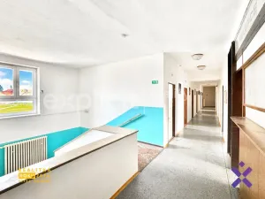 Prodej ubytování, Želetava, Pražská, 590 m2