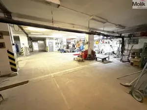 Pronájem skladu, Příbram - Příbram VII, Bož. Němcové, 1046 m2