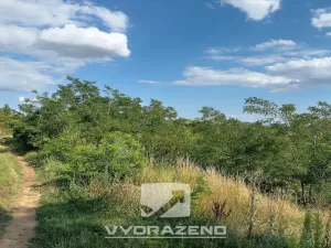 Prodej pozemku pro bydlení, Dolní Kounice, 1582 m2