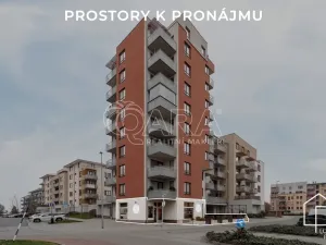 Pronájem restaurace, Praha - Čakovice, Theinova, 187 m2