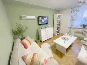 Pronájem bytu 3+1, Meziboří, Svahová, 60 m2