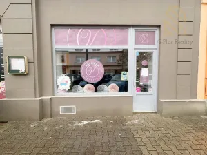 Prodej obchodního prostoru, Lovosice, 8.května, 39 m2