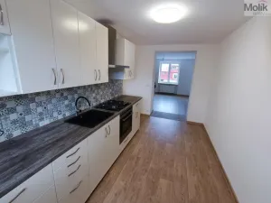 Pronájem bytu 2+1, Most, Prokopa Holého, 50 m2