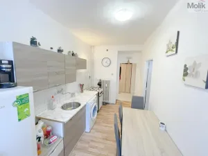 Prodej bytu 1+1, Most, tř. Budovatelů, 36 m2