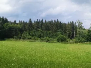 Prodej lesa, Nečín, 59470 m2