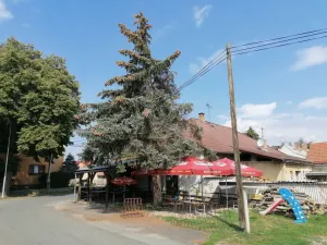 Pronájem restaurace, Opolany - Kanín, 100 m2