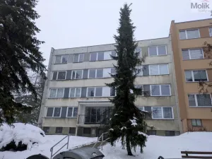 Pronájem bytu 1+kk, Bílina - Pražské Předměstí, Aléská, 28 m2