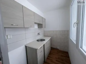 Pronájem bytu 1+kk, Bílina - Pražské Předměstí, Aléská, 28 m2