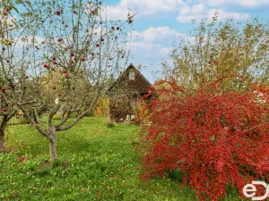 Prodej chaty, Praha, Slatiny, 15 m2