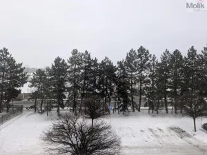 Pronájem bytu 2+1, Bílina - Teplické Předměstí, M. Švabinského, 56 m2