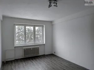 Pronájem bytu 2+1, Bílina - Teplické Předměstí, M. Švabinského, 56 m2