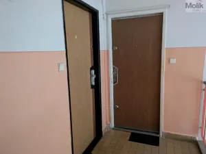 Pronájem bytu 2+1, Bílina - Teplické Předměstí, M. Švabinského, 56 m2