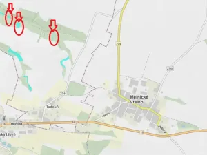 Prodej lesa, Mělnické Vtelno, 4059 m2