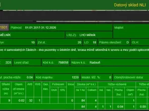 Prodej lesa, Mělnické Vtelno, 4059 m2