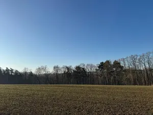 Prodej lesa, Mělnické Vtelno, 2736 m2