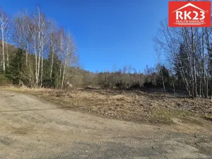 Prodej pozemku pro bydlení, Mariánské Lázně, Za Školou, 6347 m2