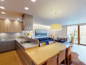 Pronájem bytu 3+kk, Praha - Žižkov, Kališnická, 100 m2