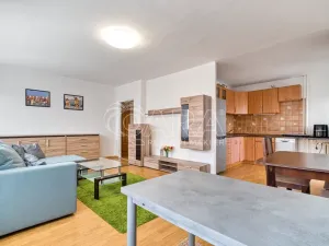 Pronájem bytu 2+kk, Ostrava - Moravská Ostrava, Petra Křičky, 56 m2