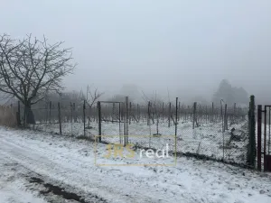 Prodej pozemku, Valtice - Úvaly, 1266 m2