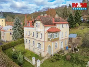 Prodej činžovního domu, Lázně Kynžvart, J. E. Purkyně, 600 m2