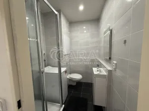 Pronájem bytu 1+kk, Jablonec nad Nisou, Budovatelů, 22 m2