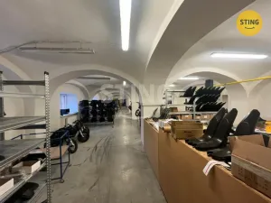 Pronájem skladu, Mankovice, 500 m2