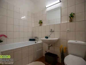 Pronájem bytu 1+1, Uherské Hradiště - Jarošov, Louky, 35 m2