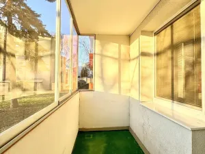 Prodej bytu 1+1, Hodonín, Velkomoravská, 32 m2