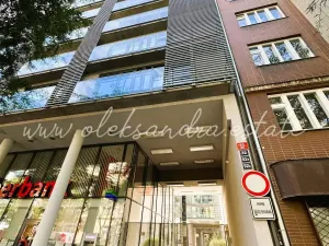 Prodej bytu 2+kk, Praha - Karlín, Křižíkova, 54 m2