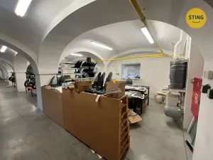 Pronájem skladu, Mankovice, 750 m2