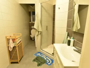 Pronájem bytu 2+kk, Praha - Vinohrady, Polská, 45 m2