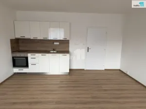 Pronájem bytu 1+kk, Plzeň - Severní Předměstí, Hodonínská, 31 m2