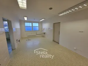 Pronájem ordinace, Bruntál, Šmilovského, 86 m2