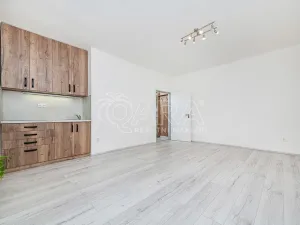 Prodej bytu 1+kk, Kralupy nad Vltavou - Lobeček, nám. Mládežníků, 27 m2