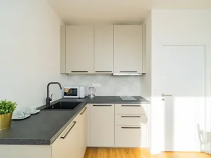 Pronájem bytu 1+kk, Praha - Michle, Bítovská, 25 m2