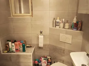 Pronájem bytu 1+kk, Praha - Vršovice, Orelská, 26 m2